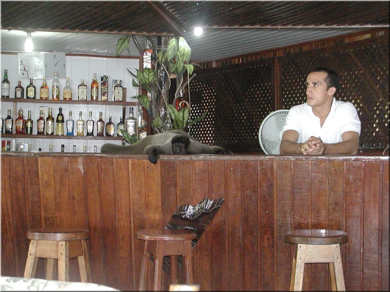 Chillin at the bar.jpg