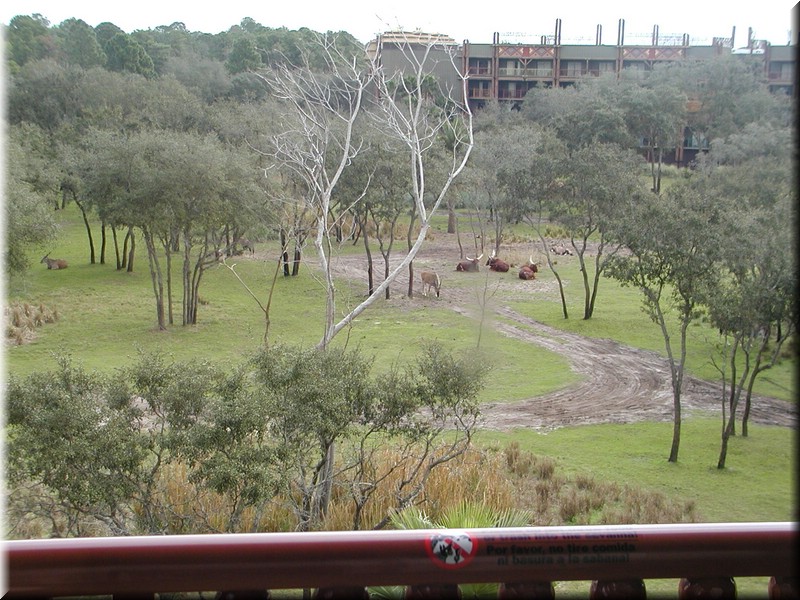 P2100076.JPG