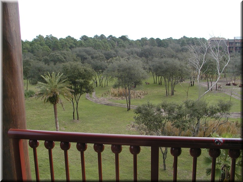P2100077.JPG