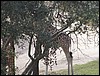 P2060036.JPG