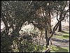 P2060043.JPG