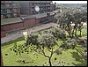 P2060046.JPG