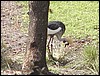 P2060047.JPG