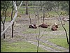 P2100073.JPG