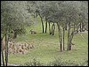 P2100075.JPG