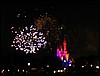 P2100098.JPG