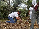 We decide to plant a tree.jpg