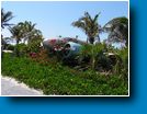 Castaway Cay