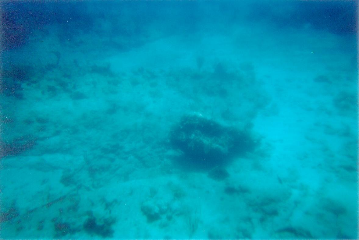 stmaarten002