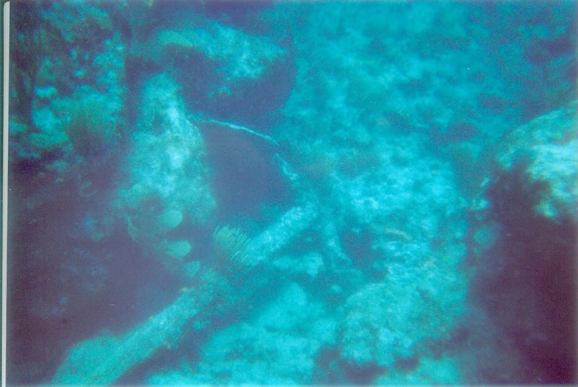 stmaarten008