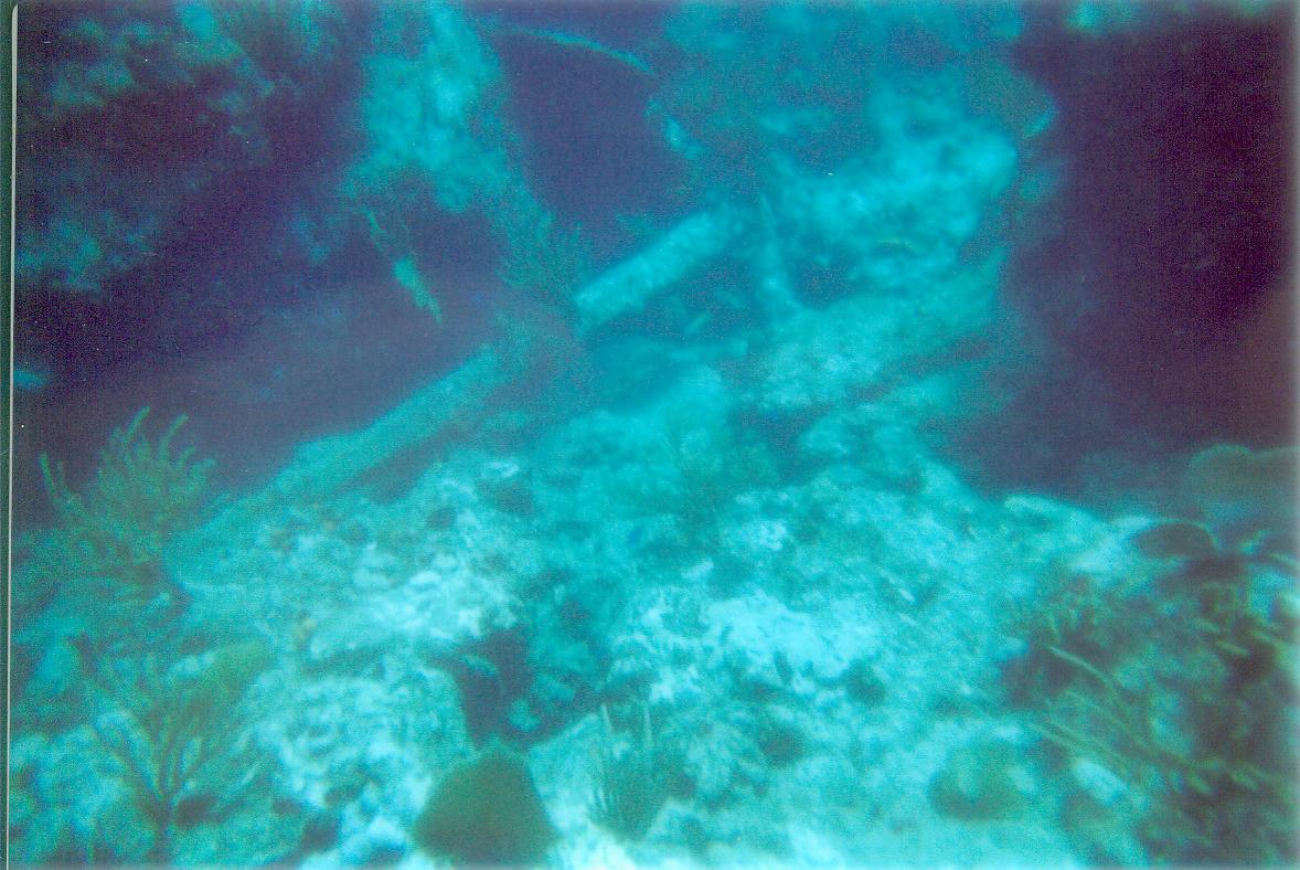 stmaarten009