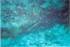 Click here to see the picture (stmaarten.jpg)