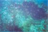 Click here to see the picture (stmaarten001.jpg)