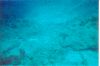 Click here to see the picture (stmaarten003.jpg)