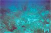 Click here to see the picture (stmaarten011.jpg)