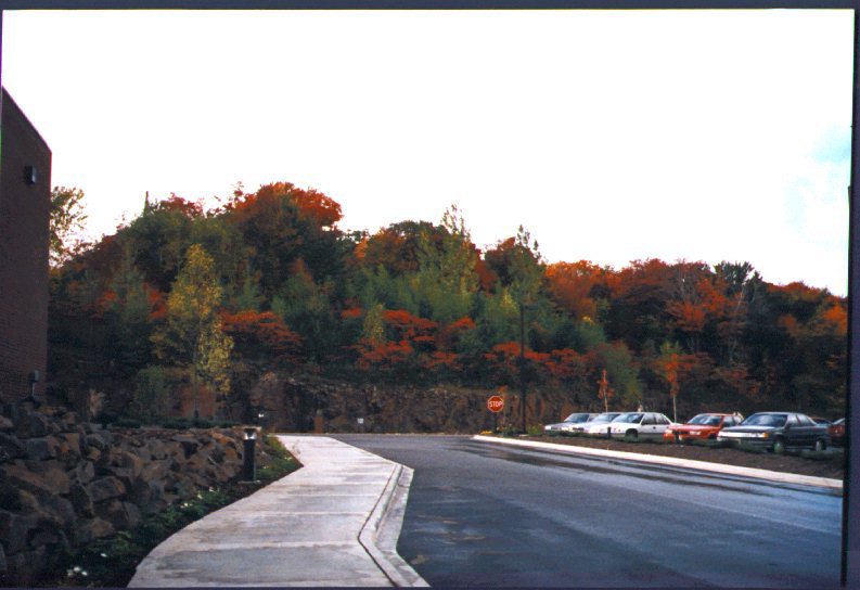 Fall in Wausau
